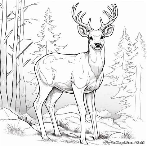Unlocking Calm and Creativity: Your Ultimate Guide to Deer Coloring Pages Printable