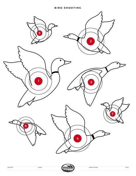 Level Up Your Laughter: Unleash the Fun with Funny Printable Targets!