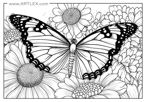 Flutter Into Fun: Discover the Best Printable Butterfly Coloring Sheets for All Ages!