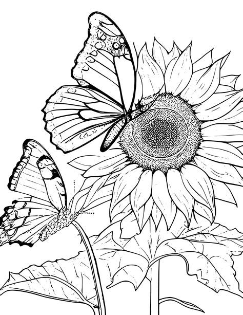 The Golden Glow: Unleash Your Creativity with the Ultimate Guide to Printable Sunflower Coloring Pages