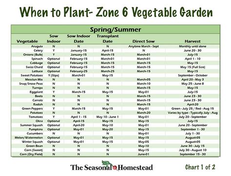 Your Ultimate Companion: The Comprehensive, Printable Zone 6 Planting Schedule for a Thriving Garden