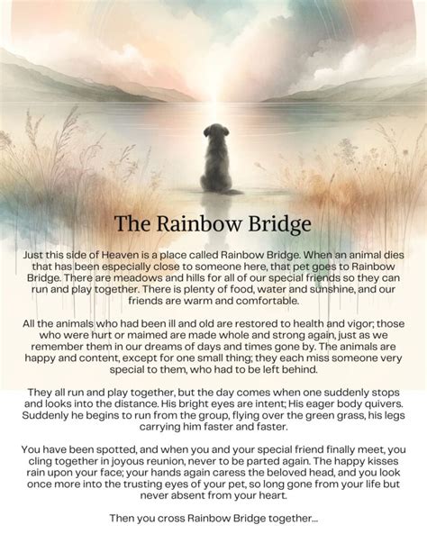 Finding Solace: The Definitive Guide to the Rainbow Bridge Poem for Dogs (Printable Resources & Comforting Ideas)