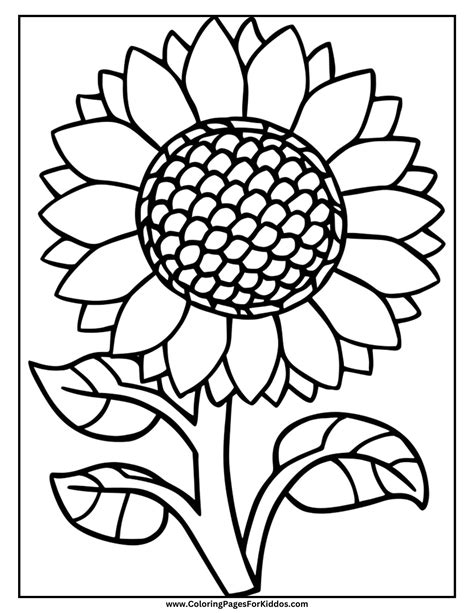 Find Your Sunshine: The Ultimate Guide to Free Sunflower Coloring Pages Printable for Every Mood!