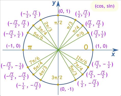 1. The Classic Labeled Unit Circle (Degrees & Radians)