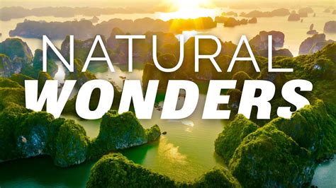 3. Nature's Nods & Whimsical Wonders