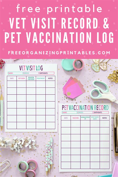 4. Beyond the Printout: Integrating Records with Vet Visits