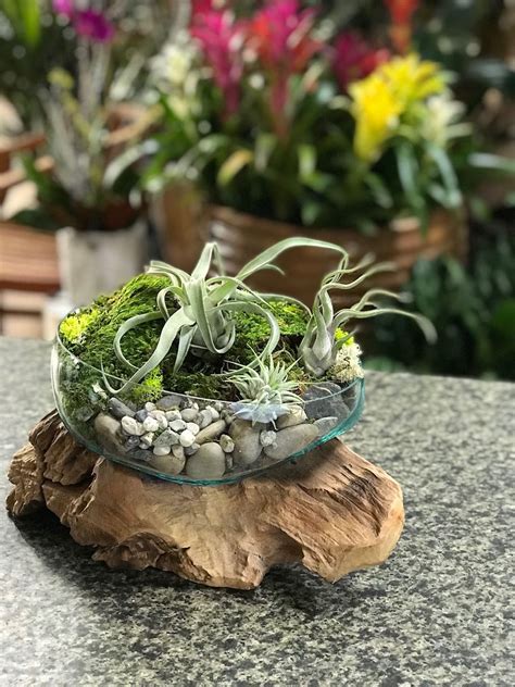 4. DIY Vases & Planters: Bringing Nature Indoors with Love