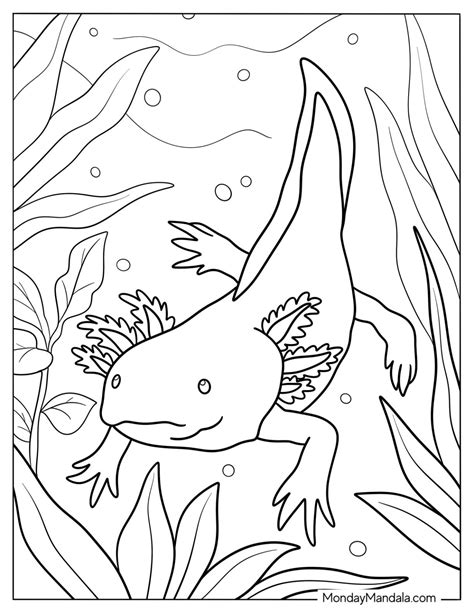 5. Educational & Learn-Through-Coloring Axolotl Pages