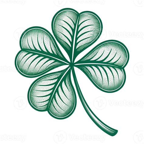 A Bit More Complex: The Detailed Clover