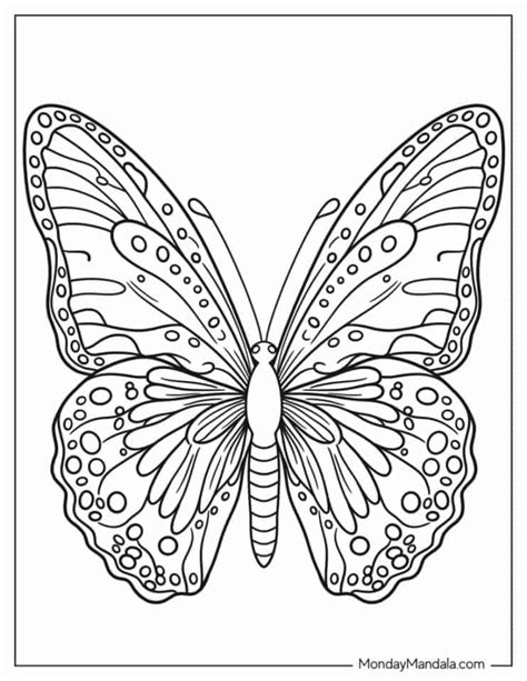 A Kaleidoscope of Choice: Discovering Different Styles of Butterfly Printable Coloring