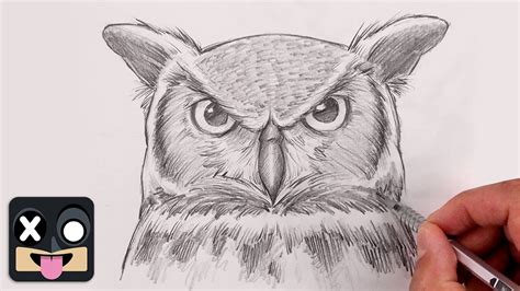 Advanced Owl Art: Techniques for Master Colorists
