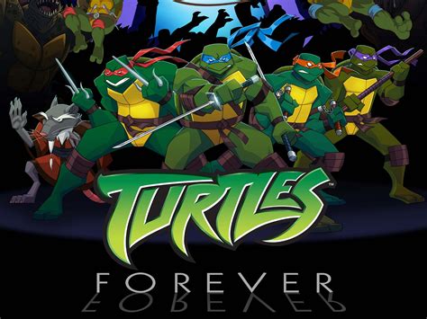 Adventure Awaits: Dynamic Turtle Scenes