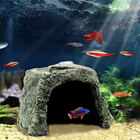Aquarium-Safe Fish & Hideouts