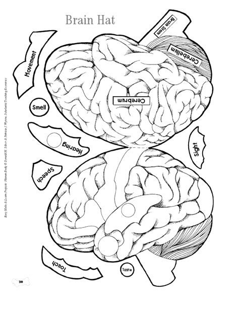 The Ultimate Guide to Your Brain Hat Printable: Make Learning Fun & Unforgettable!