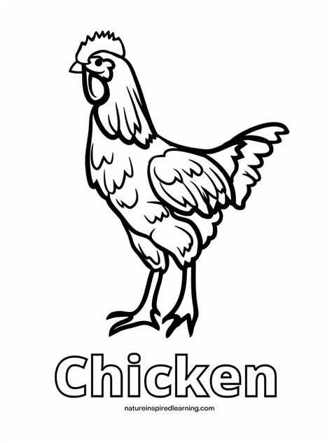 Cluck-tastic Creativity: The Ultimate Guide to Free Chicken Coloring Pages Printable!
