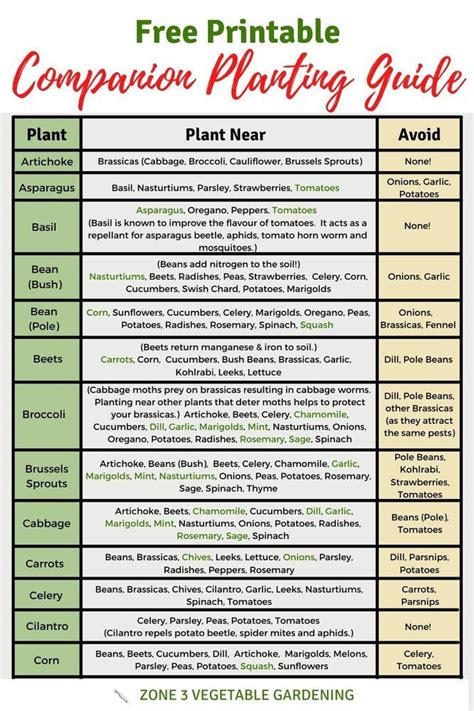 Your Ultimate Companion Planting Chart Printable: Unlock a Thriving, Pest-Free Garden (Naturally!)