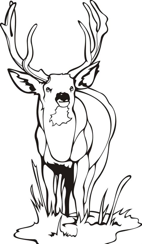 Unlocking Calm and Creativity: Your Ultimate Guide to Deer Coloring Pages Printable