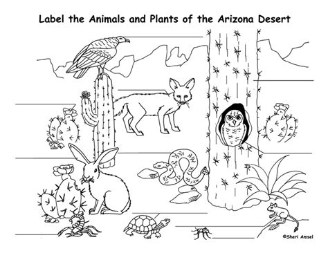 Unearth the Fun: Your Go-To Guide for "Desert Habitat Animal Free Printable" Resources!