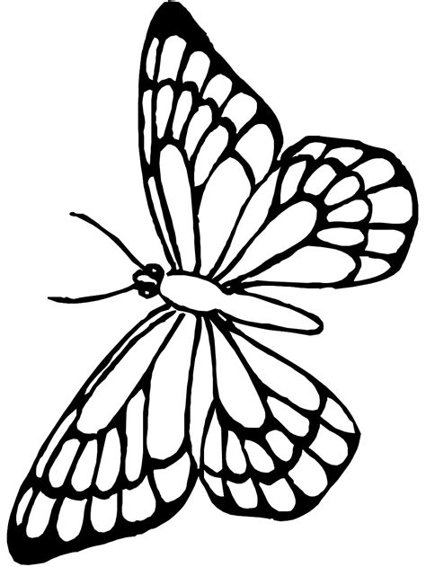 Unfurling Creativity: Your Ultimate Guide to Finding the Best Free Butterfly Coloring Pages Printable!