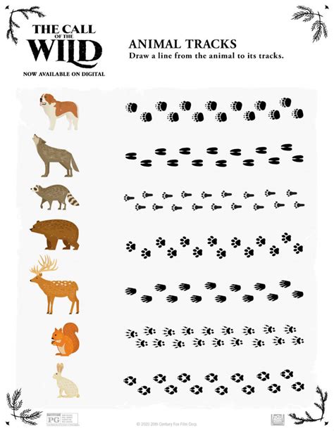 Unlock Nature's Secrets: Your Essential Guide to Printable Animal Tracks