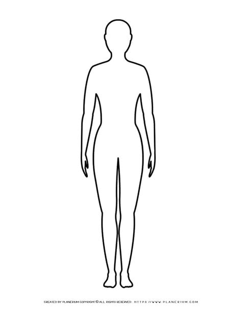Unlock the Human Form: Your Ultimate Guide to Every Printable Body Outline Imaginable