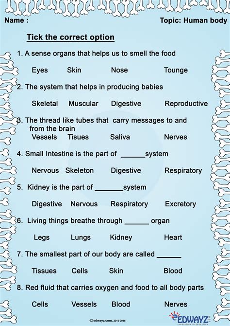 Unleash Their Inner Scientist: The Magic of Printable Science Worksheets for Grade 3