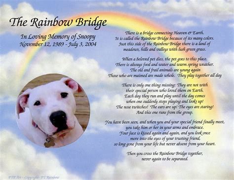 Finding Comfort After Loss: Your Guide to the Perfect Rainbow Bridge Pet Poem Printable