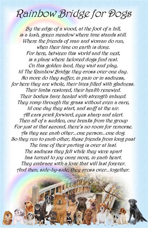 Finding Solace: The Definitive Guide to the Rainbow Bridge Poem for Dogs (Printable Resources & Comforting Ideas)
