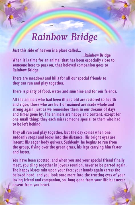 Finding Solace: Your Guide to the Perfect Rainbow Bridge Poem Printable