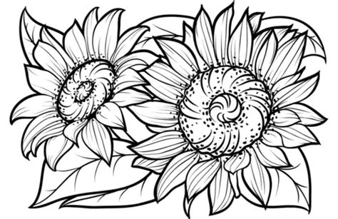 Find Your Sunshine: The Ultimate Guide to Free Sunflower Coloring Pages Printable for Every Mood!