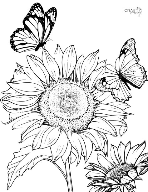 Bloom Your Creativity: The Ultimate Guide to Free Sunflower Printable Coloring Pages for Every Age & Skill Level!