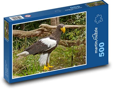 Unleash Your Inner Fan: The Ultimate Guide to The Eagles Puzzles Printable!