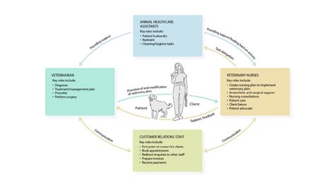 Beyond the Basics: Advanced Charting for Specific Conditions & Veterinary Collaboration