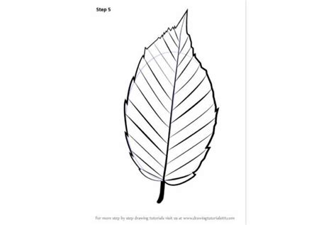 Beyond the Basics: Advanced Techniques for Leaf Enthusiasts