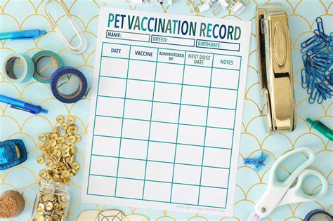 Beyond the Needle: Essential Information to Track on Your Free Printable Pet Vaccination Record
