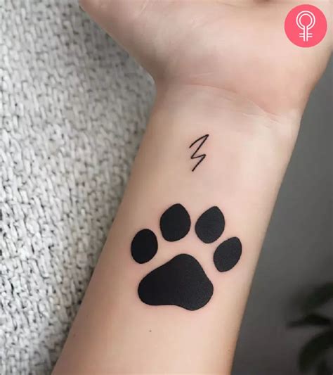 Beyond the Paw Print: Creative Variations & Customization Ideas