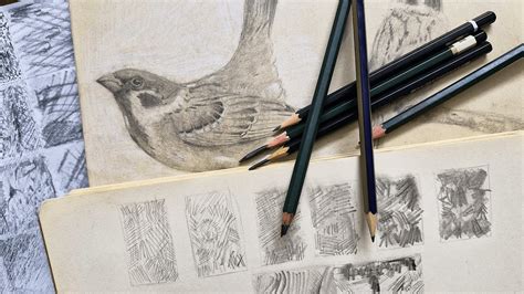 Beyond the Pencil: Tools & Techniques for Mastering Complex Dot-to-Dots