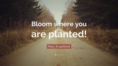 Bloom Where You Are Planted
