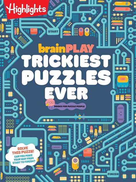 Brain Teasers & Logic Puzzles: Challenge the Minds of Big Kids & Adults