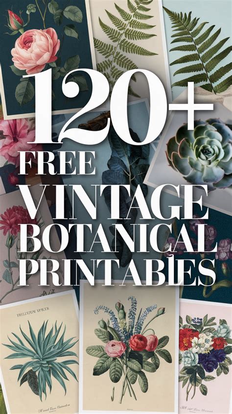 Bring the Outside In: Nature & Botanical Printables