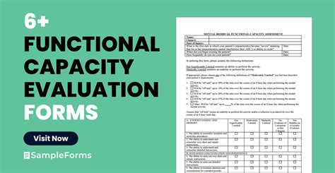 Category 2: Functional Forms – Templates for Everyday Beauty