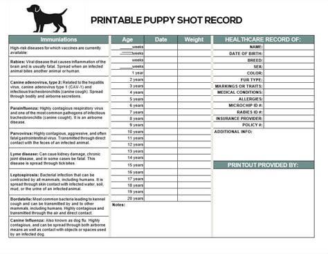 Choosing and Customizing Your Perfect Printable Puppy Shot Record
