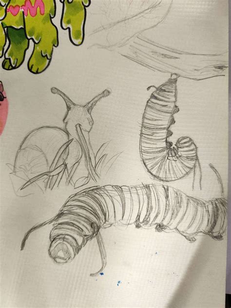 Classic Creepy Crawlies: Realism & Detail