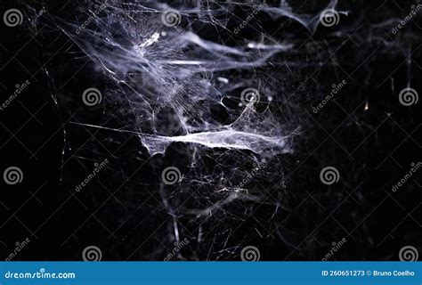 Classic & Creepy Spider Webs