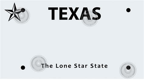 Common Pitfalls to Avoid with Your Printable Temporary License Plate Texas