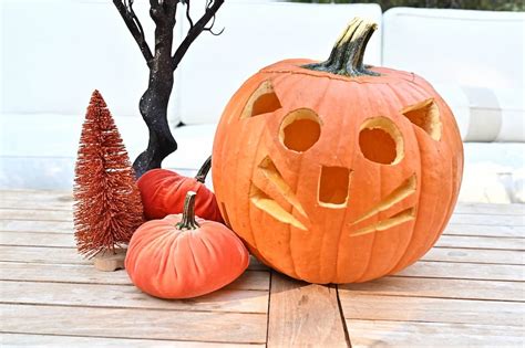 Common Pitfalls: What to AVOID When Carving Cat Pumpkins
