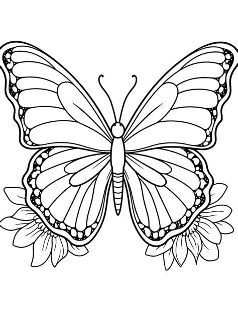 Common Pitfalls: What to AVOID When Choosing & Printing Butterfly Coloring Sheets