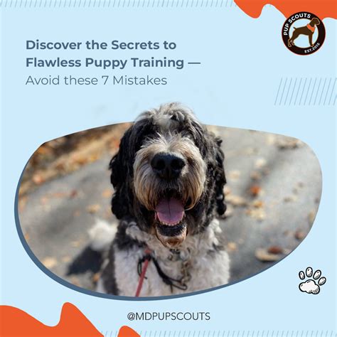 Common Pitfalls: What to AVOID When Coloring Puppy Pages