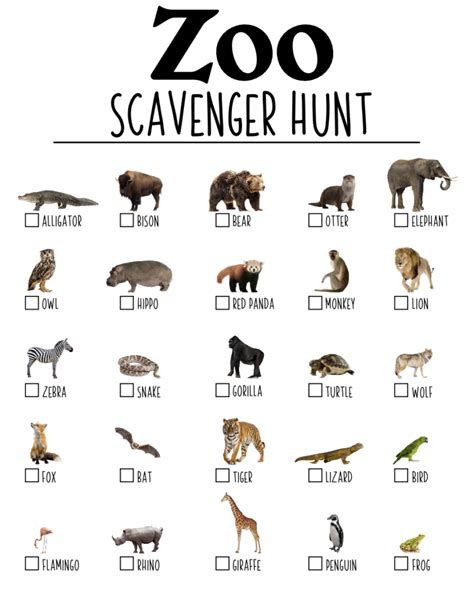 Common Pitfalls: What to AVOID When Creating a Zoo Scavenger Hunt Printable