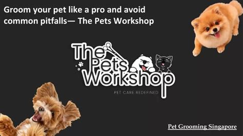 Common Pitfalls: What to AVOID When Remembering Your Pet